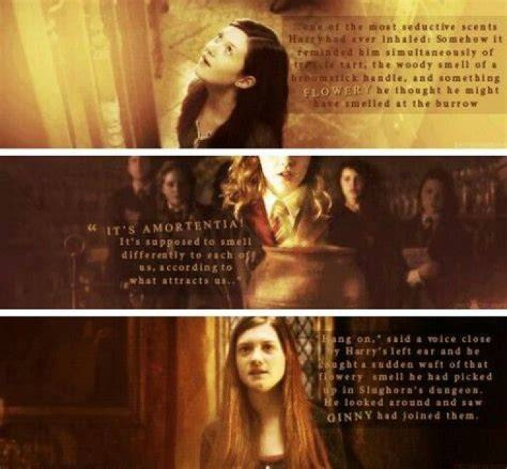 What would Ginny smell in Amortentia?