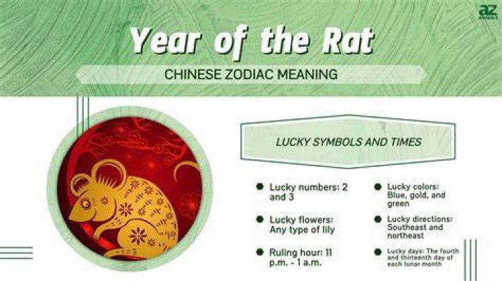 What zodiac is a scaredy cat?