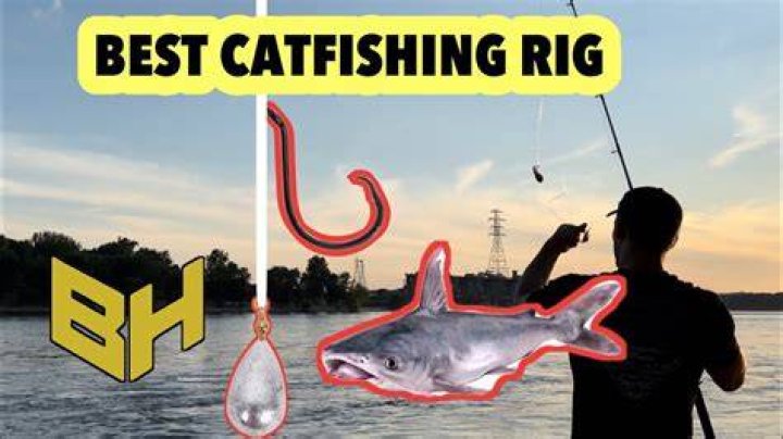 Whats the best catfish rig?
