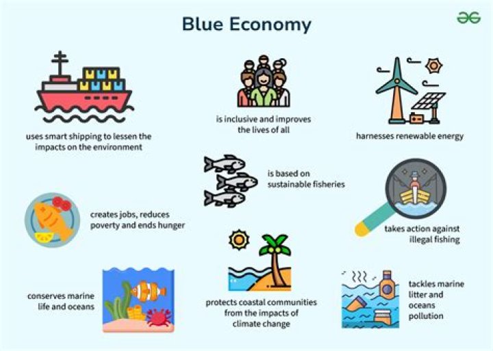 When was the blue economy created?