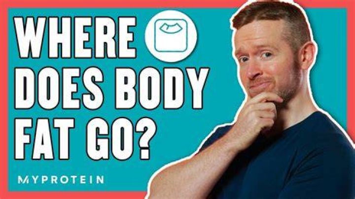 Where do fat go when you lose weight?