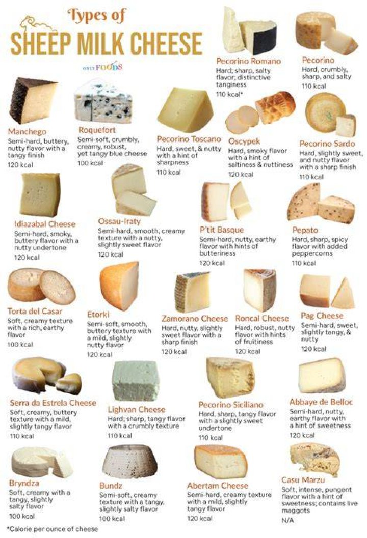 Which is healthier milk or cheese?