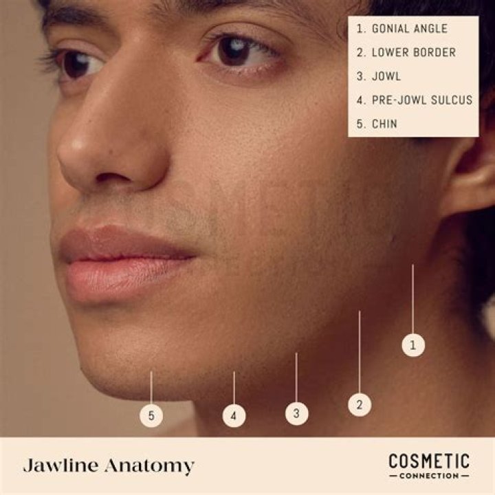 Which jawline is the best for female?