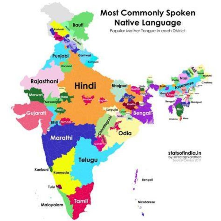 Which language is least spoken in India?