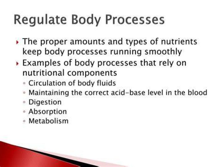 Which nutrients regulate body processes?