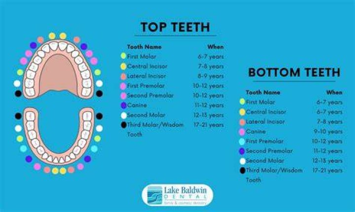 Which teeth are easier to pull top or bottom?