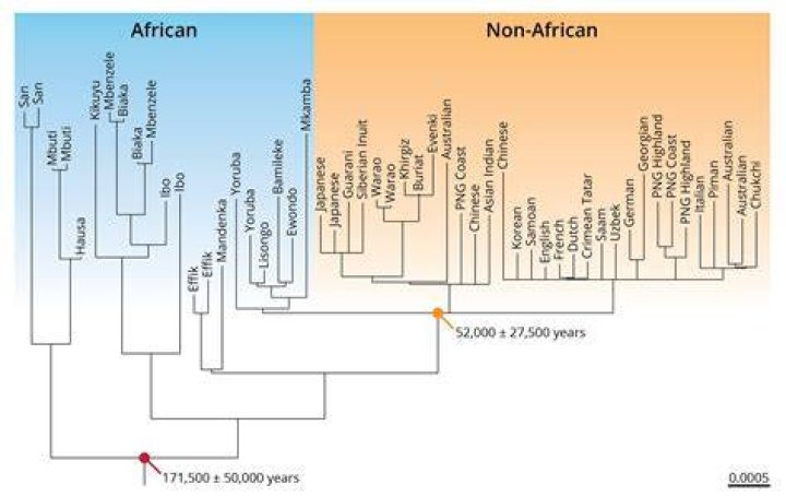 Who are the ancestors of Hungarians?