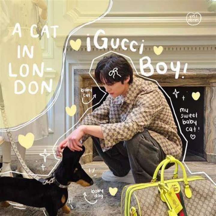 Who in BTS is a Gucci boy?