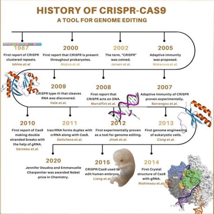 Who invented CRISPR technology?