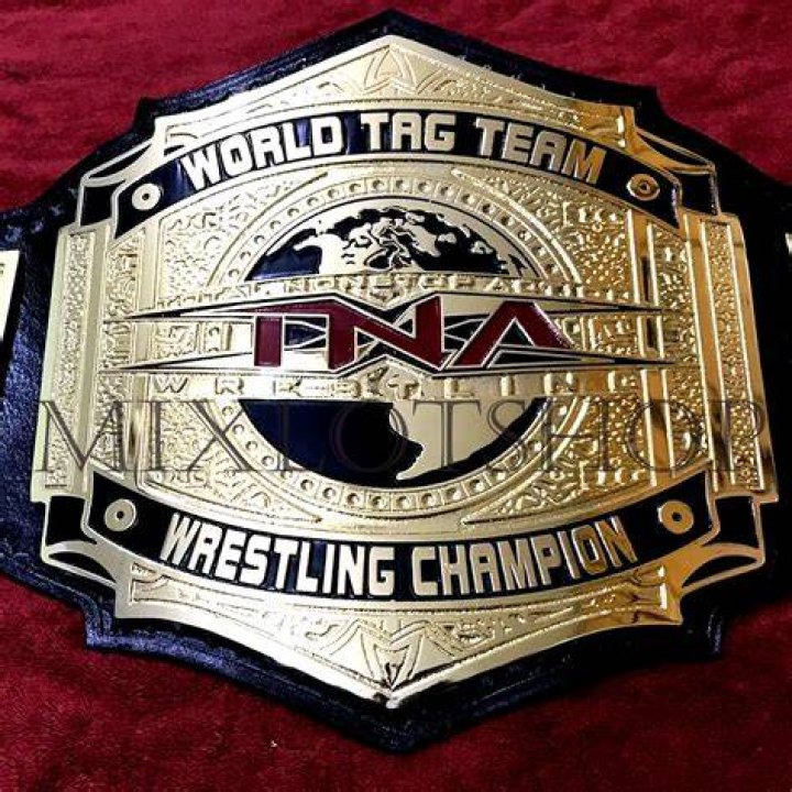 Who is the longest tag team champions?