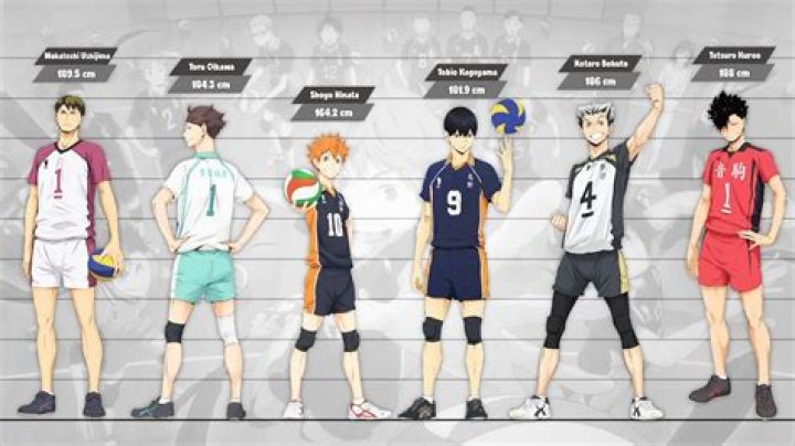 Who is the tallest libero in Haikyuu?