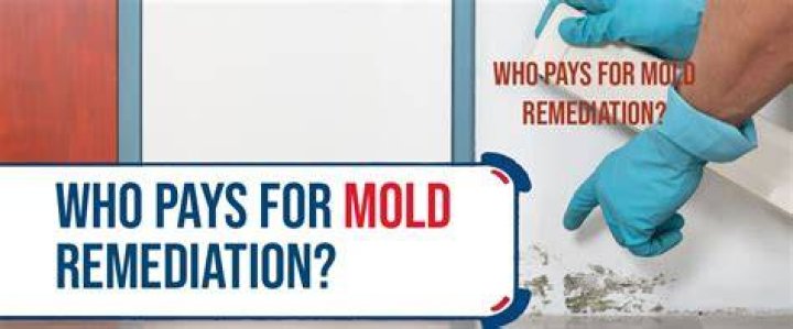 Who pays for mold remediation?