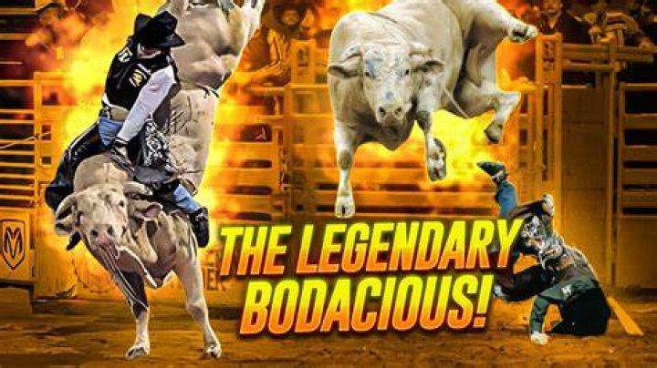 Who Rode Bodacious the bull for 8 seconds?