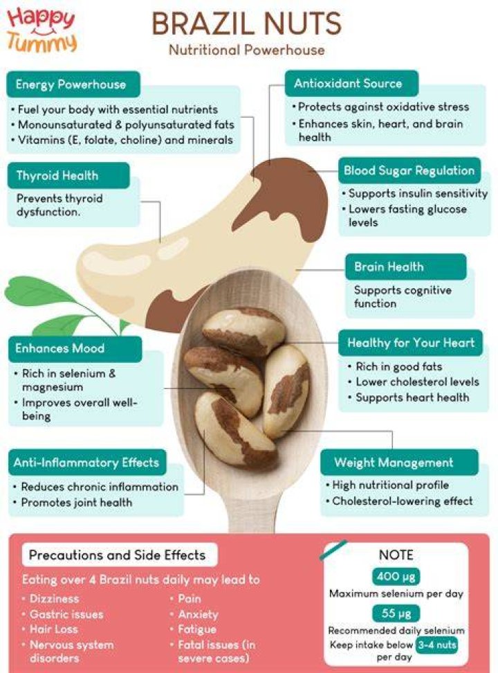 Why are Brazil nuts so radioactive?