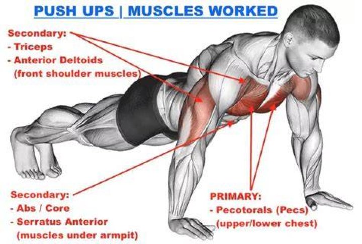 Why are military push-ups so hard?