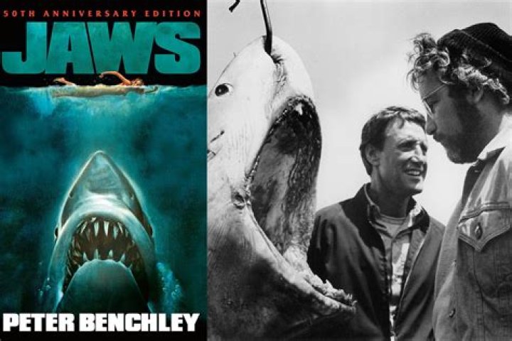 Why did our jaws get smaller?