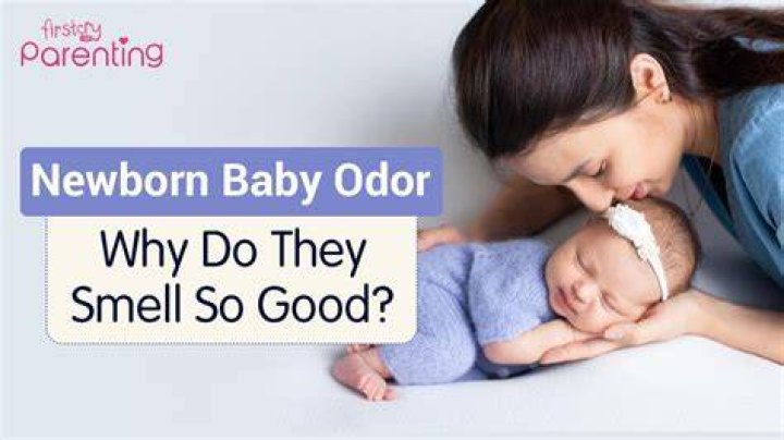 Why do baby heads smell good?