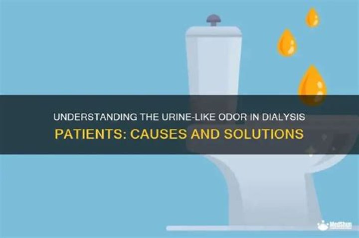 Why do dialysis patients smell like urine?