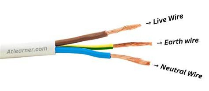 Why do I have 2 neutral wires?