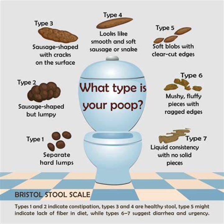 Why do I have to poop right after I poop?