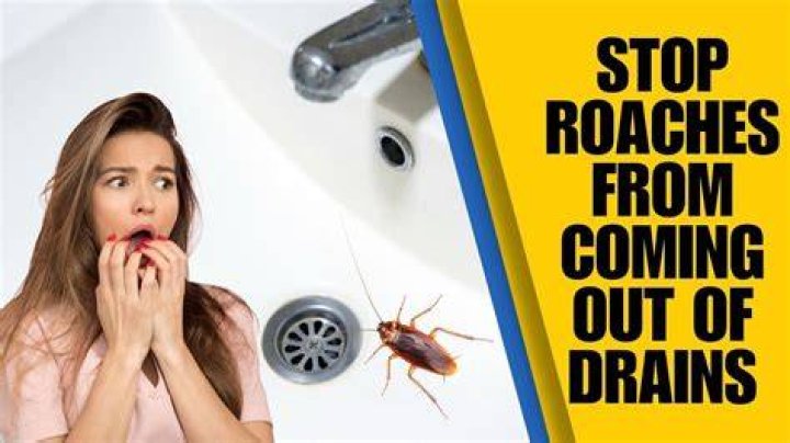 Why do roaches appear in bathrooms?
