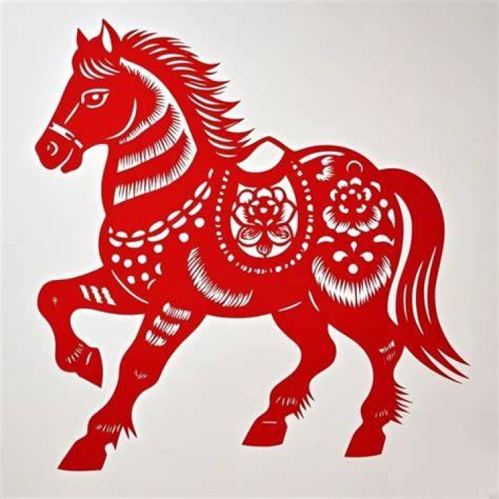 Why do they cut horse's balls off?