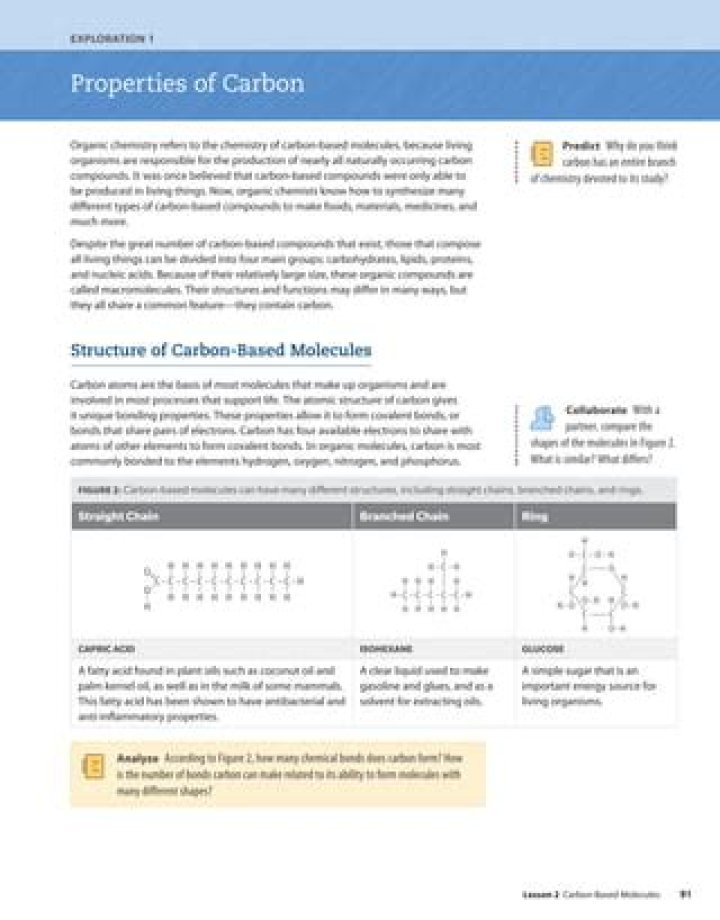 Why do you think carbon has an entire branch of chemistry devoted to its study?