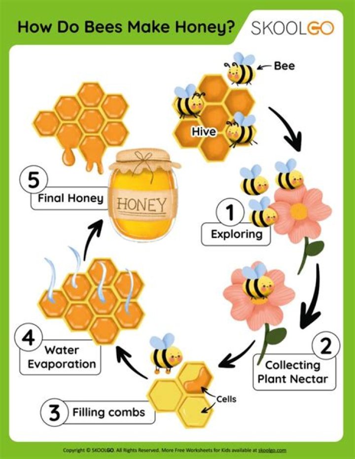Why does Burt's Bees work so well?