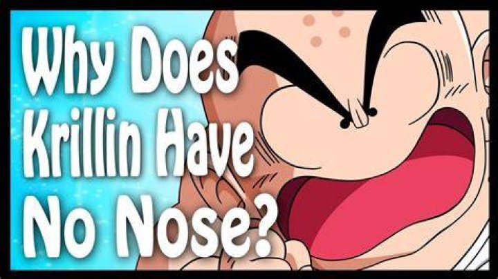 Why does krillin not have a nose?