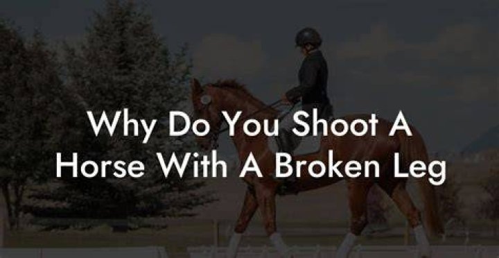 Why does my horse keep trying to buck me off?