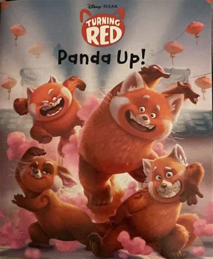 Why does the girl turn into a panda in Turning Red?