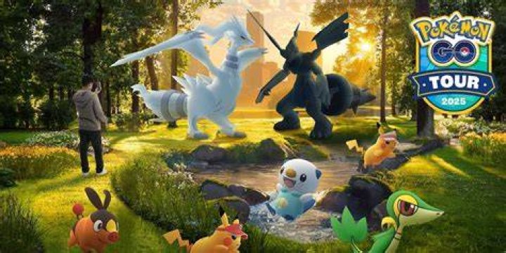 Why is my Pokémon GO black?