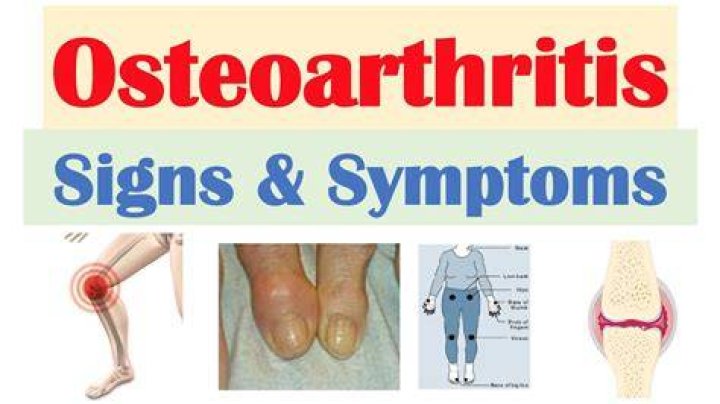 Why is osteoarthritis so painful?