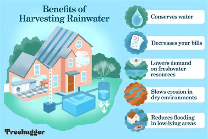 Why is rain water yellow?