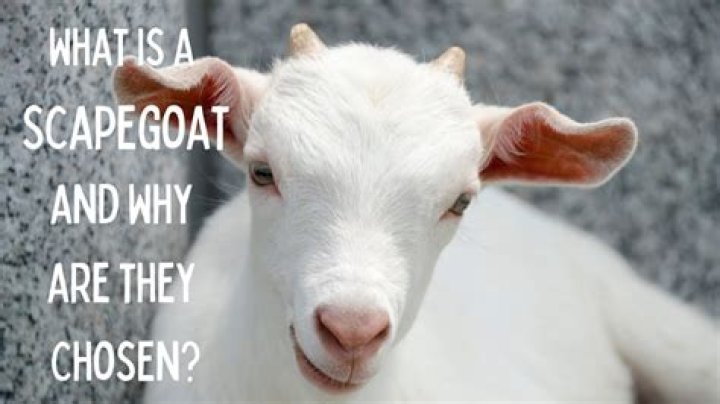 Why is the scapegoat chosen?