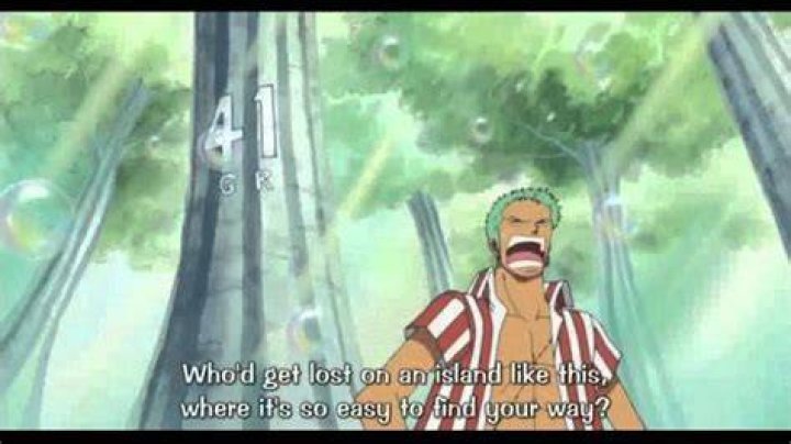 Why is Zoro always lost?