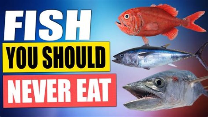 Why should we stop eating fish?