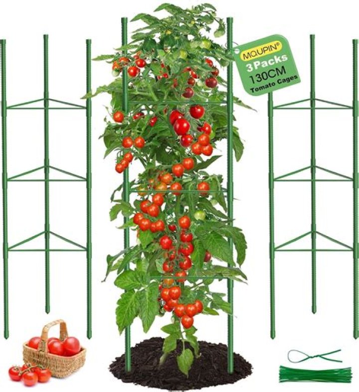 Will aspirin help my tomato plants?