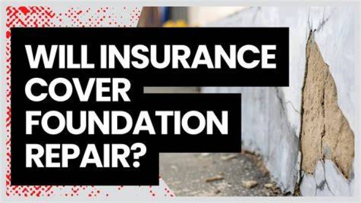 Will insurance cover an Owlet?