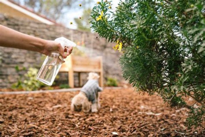 Will spraying vinegar keep dogs away?